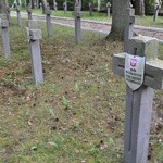 Cmentarz w lesie ościsłowskim