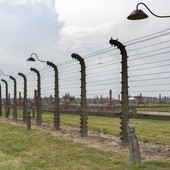 W Wigilię 1943 r. w obozie na Majdanku urodził się Mojżesz - zamordowano go w Auschwitz