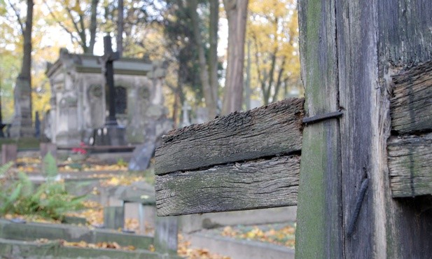 Nastolatkowie sprofanowali cmentarz w Połańcu