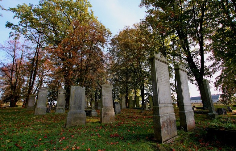 Stogi Malborskie - cmentarz mennonicki