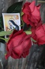 RITA22062025_HP157.jpg