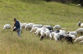 Trudno się zgubić?