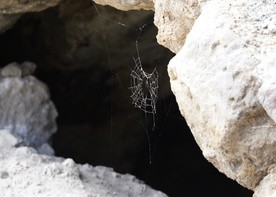 Wejście do jaskini