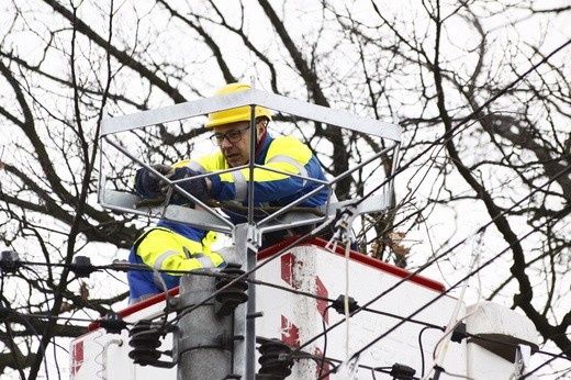 Nowe bocianie gniazdo w Tarnowskich Górach