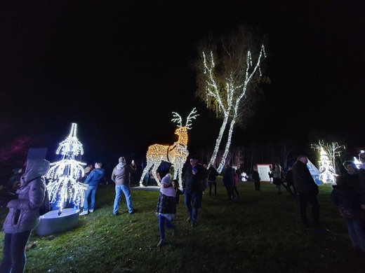 Park Miliona Świateł w Zabrzu