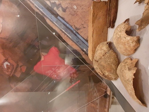 Legendarne Sutuhali? Wystawa w Muzeum Górnośląskim