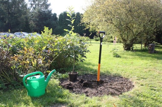 100-lecie Szensztatu