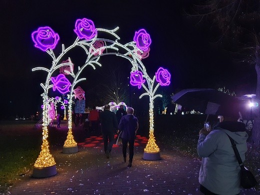 Park Miliona Świateł w Zabrzu