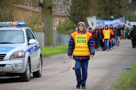 Święty Gaj - uroczystości odpustowe 