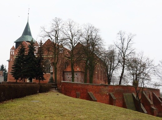 Zamek w Malborku