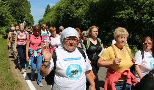 VI Piesza Pielgrzymka z Morąga do Gietrzwałdu