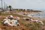 LIban, okolice Tyru