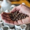 Nadmiar kawy może niekorzystanie wpływać na pracę mózgu