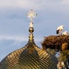 Dach prawosławnego monastyru