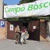 Festiwal Campo Bosco
