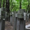 Miejsce hitlerowskiego mordu z czasów II wojny światowej w lesie ościsłowskim.