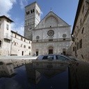 Rok Świętego Franciszka