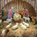 Koziebrody. Szopka bożonarodzeniowa w parafii św. Jakuba Apostoła