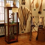 Otwarte Muzeum Diecezjalne w Płocku