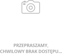 Bp Wiesław Śmigiel w Płocku