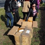 Pola Nadziei w Płocku