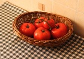 Liście pomidorow więdną? Ogórki też? 