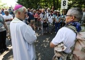 Jastrzębie już w drodze