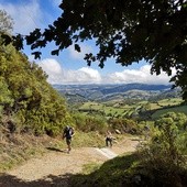 "Caminoza"?"Choroba", na którą warto zapaść