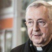 Abp Gądecki o zbliżającej się wizycie "ad limina apostolorum" polskich biskupów