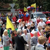 Organizatorami płockiego marszu byli: Stowarzyszenie Rodzin Katolickich, Kuria Diecezjalna Płocka, Płocki Ośrodek Kultury i Sztuki oraz Urząd Miasta Płocka