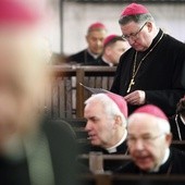 Kryzysowe szkolenia dla biskupów