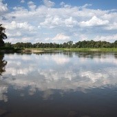 Wody Polskie: trwa wyławianie śniętych ryb z Odry