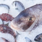 Dobrze, że nie mają głosu! Ale byśmy oberwali