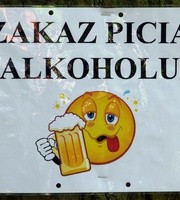 Co zamiast alkoholu? Substytut ginu