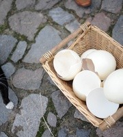 Ale jaja! Eggs Benedict