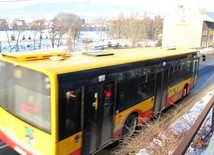 Śląskie: od Wielkiego Piątku tymczasowo zmieniony rozkład jazdy autobusów