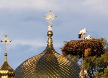Dach prawosławnego monastyru
