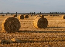 Klęska w rolnictwie