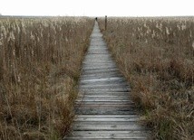 Życie jest nezwykle zróżnicowane