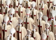 80. urodziny kard. Coccopalmerio – 117 kardynałów elektorów