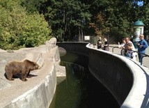 Stołeczne zoo znów otwarte dla odwiedzających