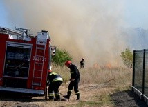 Mysłowice: już 70 razy wyjeżdżała w tym roku staż pożarna do palących się traw