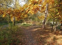Ciepła, słoneczna jesień