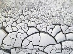 Somalia: Rząd ogłosił stan wyjątkowy z powodu suszy