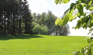 Zaglądamy do lasu! Co o tej porze roku tam się dzieje?