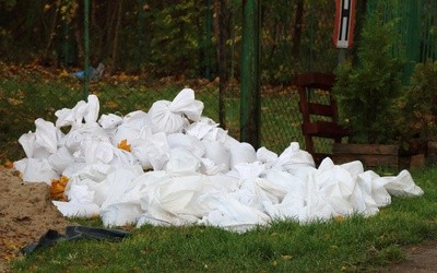 Cofka na rzece Elbląg