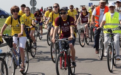 Rowerzyści to tragedia dla budżetu (sarkazm)