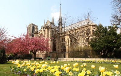 W Wielki Czwartek w Notre-Dame obrzęd obmycia nóg