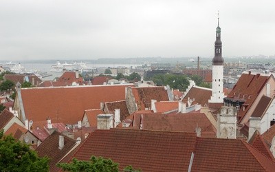 16-latek zagłosuje w wyborach lokalnych