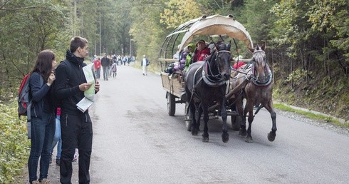 Furmanki mają tu długą tradycję